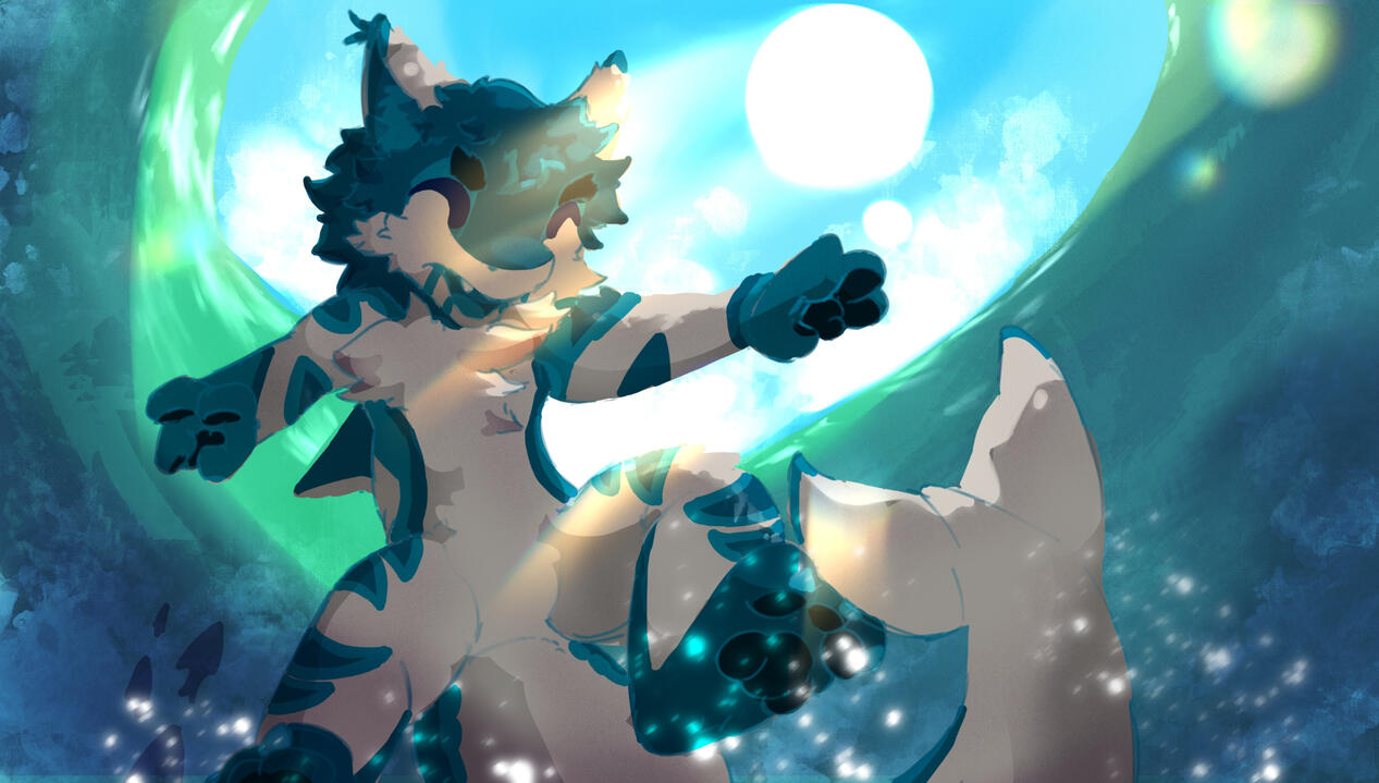 torca fullbody